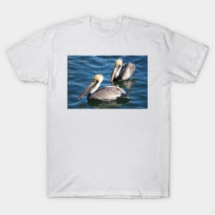 Two Beautiful Pelicans T-Shirt